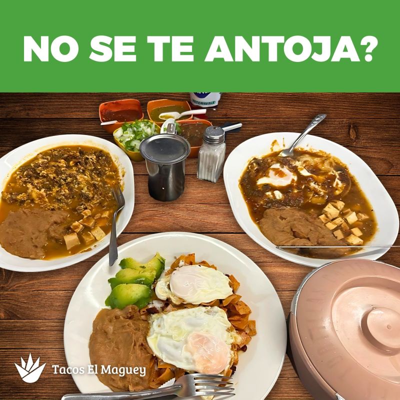 Tacos El Maguey